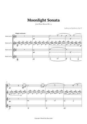 Moonlight Sonata: A Tender Melody Embraces a Stormy Soul